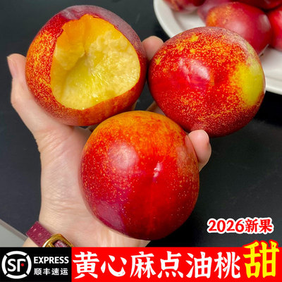黄心麻点油桃新鲜水果当季整箱山东蒙阴蜜桃桃子新鲜黄肉脆甜水果