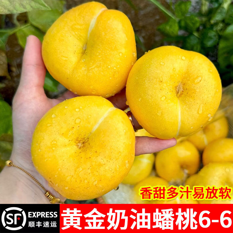 黄金奶油蟠桃新鲜水果当季整箱山东蒙阴孕妇水果扁潘桃油蟠脆桃子