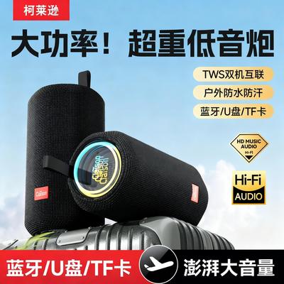 CLAISONT67100W防水蓝牙音箱