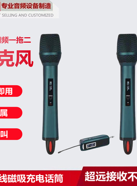 新款无线磁吸充电麦克风TX-12一拖二无线话筒家用k歌户外舞台麦克