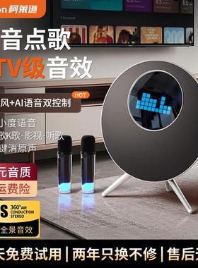 CLAISON T300蓝牙音响家庭客厅用环绕ktv唱歌话筒麦克风音箱一体
