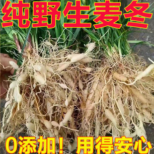 野生麦冬正宗四川麦冬麦门冬泡水煮汤煲粥可搭配玉竹片沙参麦冬茶