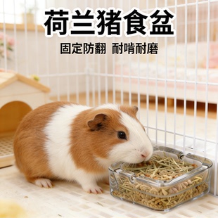 荷兰猪食盆专用玻璃内置式喂食大容量防啃咬加厚防摔固定防翻食槽