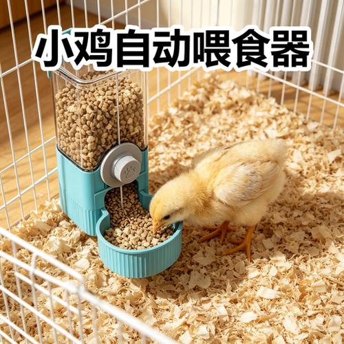 小雏鸡自动喂食器饲养笼喂食喂水神器大容量挂笼防撒防溅饲养神器
