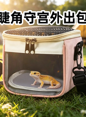 睫角守宫专用外出包幼体便携透气观察包爬宠看诊转移出门携带箱子