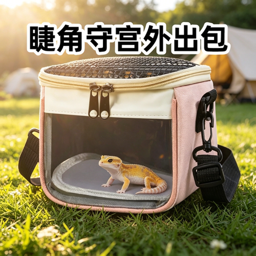 睫角守宫专用外出包幼体便携透气观察包爬宠看诊转移出门携带箱子