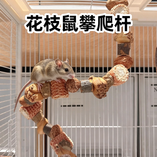 花枝鼠仓鼠攀爬杆笼内造景解闷自嗨坚果山菠萝玉米芯啃咬玩具站杆