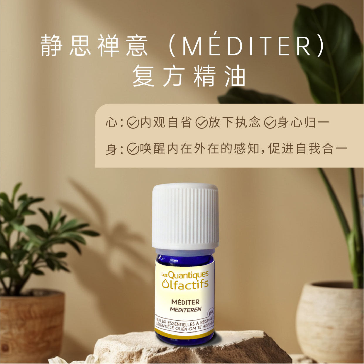 【法国原装进口】寇缇芳《静思禅意》冥想香薰精油