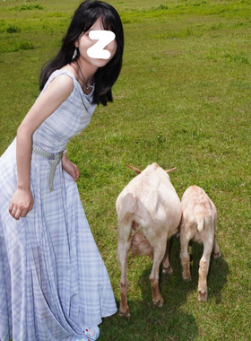 新款超好看浪温柔蓝色格纹连衣裙+腰带法式时尚气质大码显瘦套装