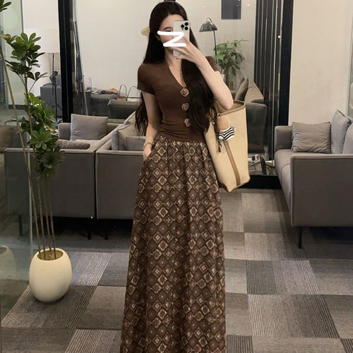 慵懒风减龄V领短袖上衣女大码mm收腰显瘦印花半裙春季新款两件套