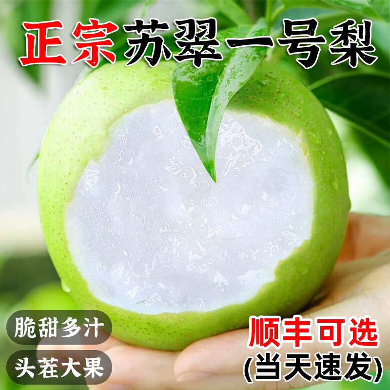 梨子新鲜水果翠玉梨苏翠一号苹果翠冠梨青皮10当季整箱斤酥脆甜梨