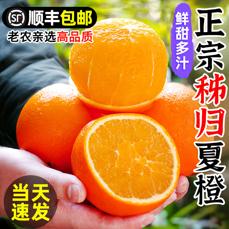 橙子夏橙脐橙新鲜10斤大果顺丰包邮湖北鲜橙秭归直发整箱当季水果