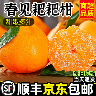 顺丰耙耙柑正宗四川春见粑粑柑10斤整箱柑橘现摘发货当季新鲜水果