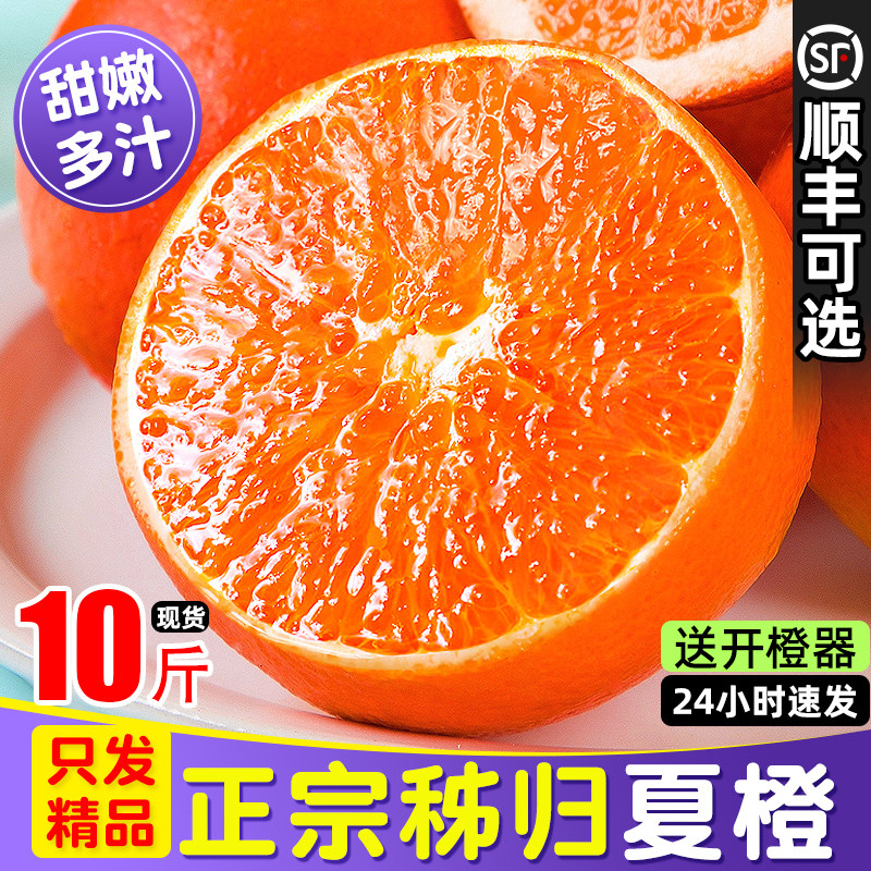 橙子夏橙脐橙湖北秭归新鲜10斤大果鲜橙榨汁专用手剥整箱当季水果