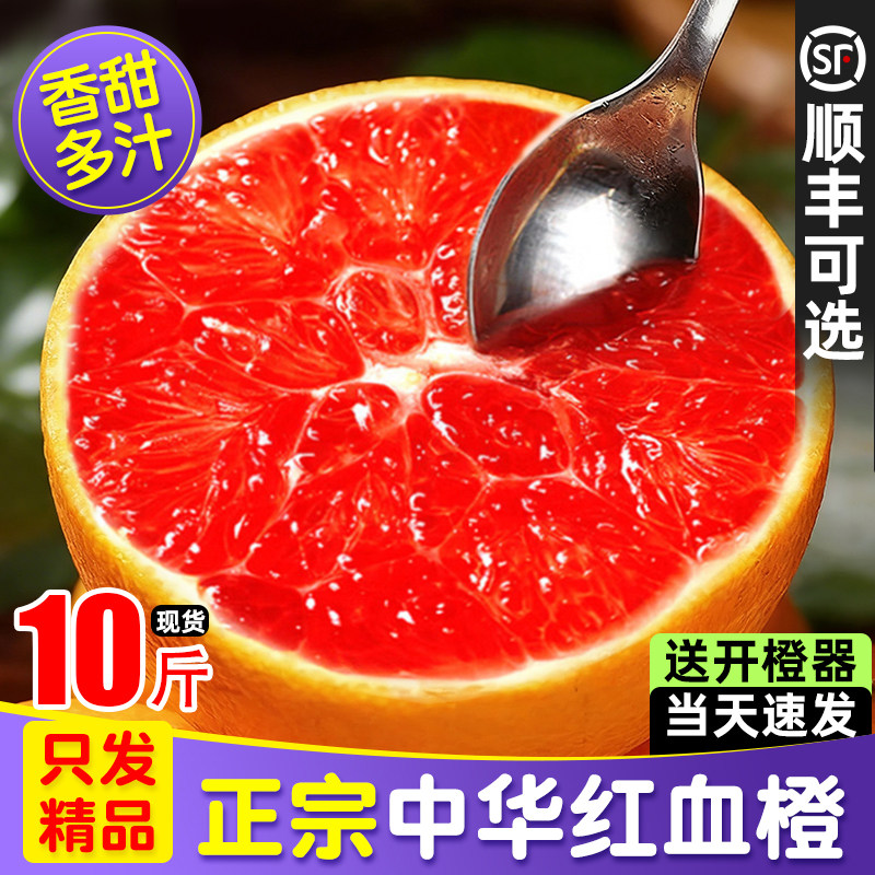 中华血橙果冻橙新鲜橙子10斤大果当季整箱湖北宜昌水果甜秭归红橙