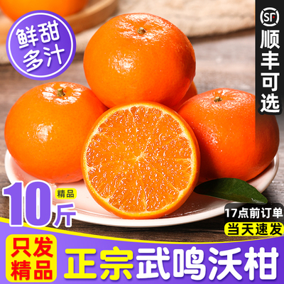 「东方甄选力荐」正宗武鸣沃柑