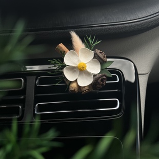 永生花干花DIY车载香薰夹空调出风口装饰森系车内饰高级感礼物