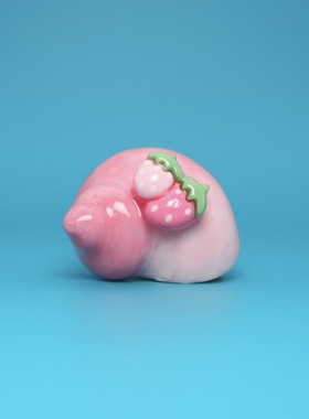 寄居蟹替换壳DIY手工定制创意手绘纯天然螺壳淡水观赏蟹宠物用品