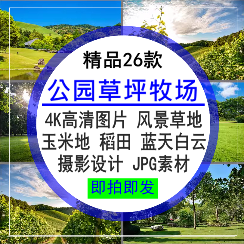 公园草坪牧场风景草地玉米地稻田风景蓝天4K高清图片设计JPG素材