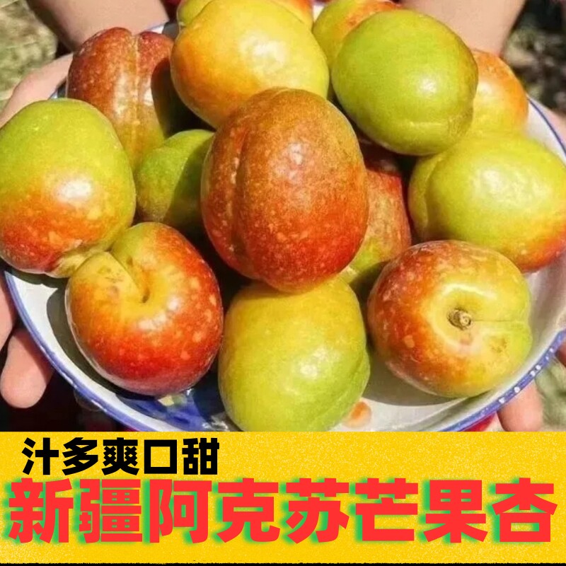 新疆特产阿克苏芒果杏特级大果汁多超甜当季新鲜採摘果园直发