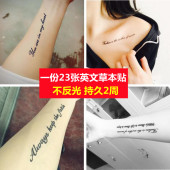 草本纹身贴英文字母女性感锁骨男防水持久仿真手臂刺青半永久果汁