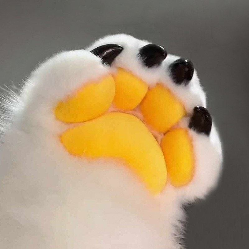 furry兽装指甲爪尖DIY道具自制
