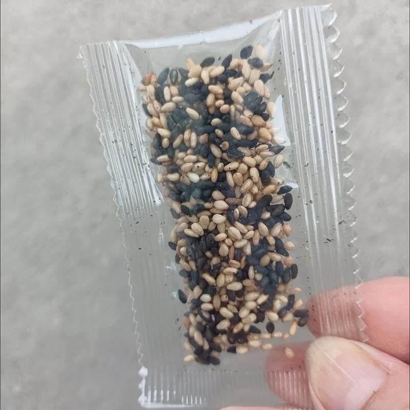 黑白芝麻炒熟即食开袋营养孕妇免洗五谷杂粮农家独立饱满小包装