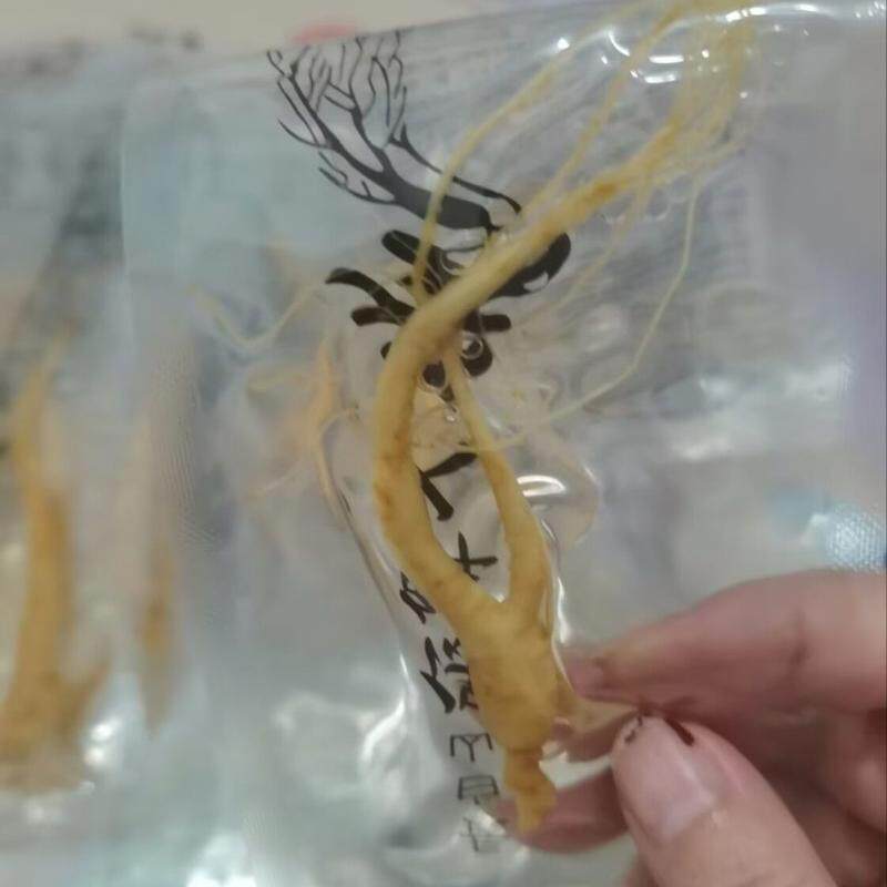 人参长白山参小人参滋补新鲜保鲜正宗真空泡酒独立煲汤包装袋