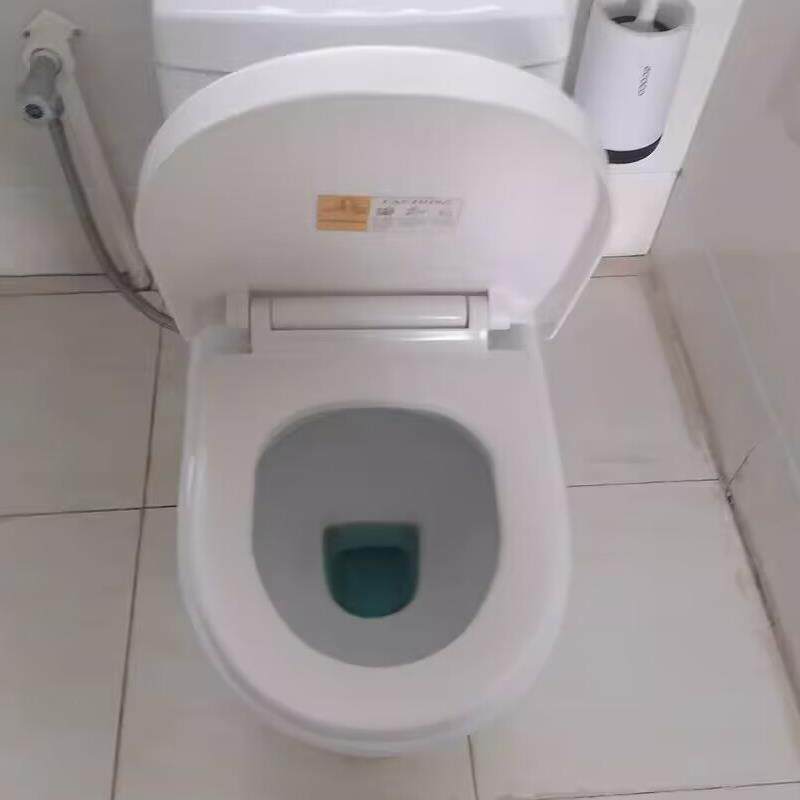 家用普通马桶盖板缓降通用加厚抽水坐便器盖子厕所老式UVO形配.