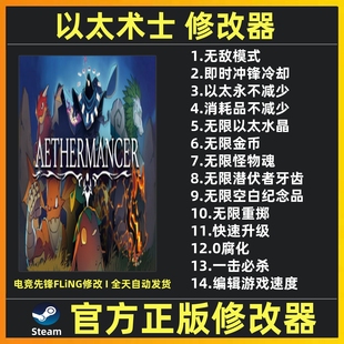 Steam 以太术士修改器辅助魔法游戏修改工具 以太术士 不含游戏