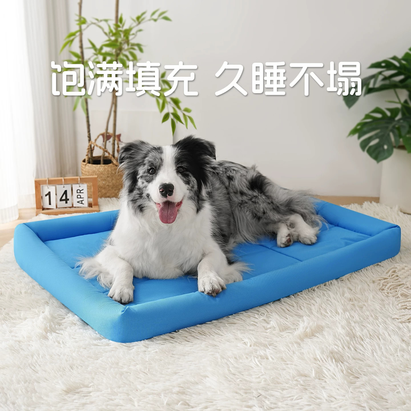 牛津布防水耐咬四季猫狗窝图片