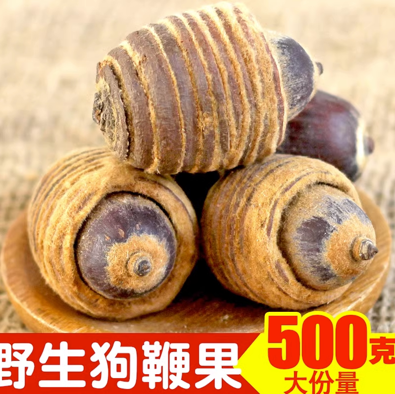 虎鞭果 狗鞭果包邮云南苗家毛毛果凸型风流果男人泡酒中药材500克
