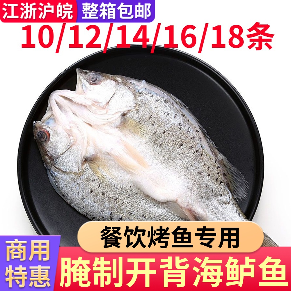 冰冻开背新鲜海鲈鱼清蒸纸包鱼烤鱼白蕉鲜活水产商用半成品整箱