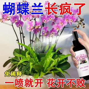 猛出花箭】蝴蝶兰专用营养液促箭剂催花肥兰花盆栽免稀释专用肥料