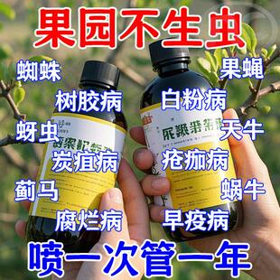 果园专用清园剂果树清棚抗逆柑橘梨树苹果树恢复树势微生物菌剂药