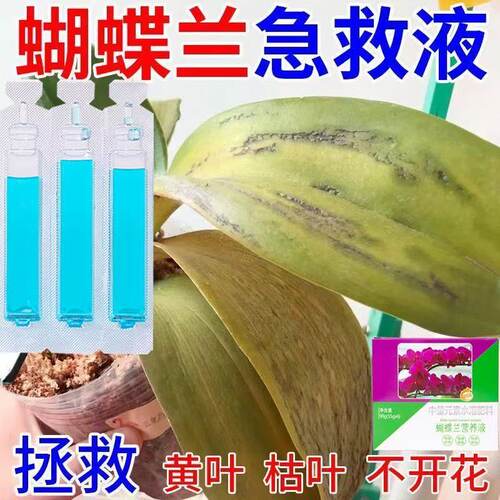蝴蝶兰专用营养液促花防黄叶