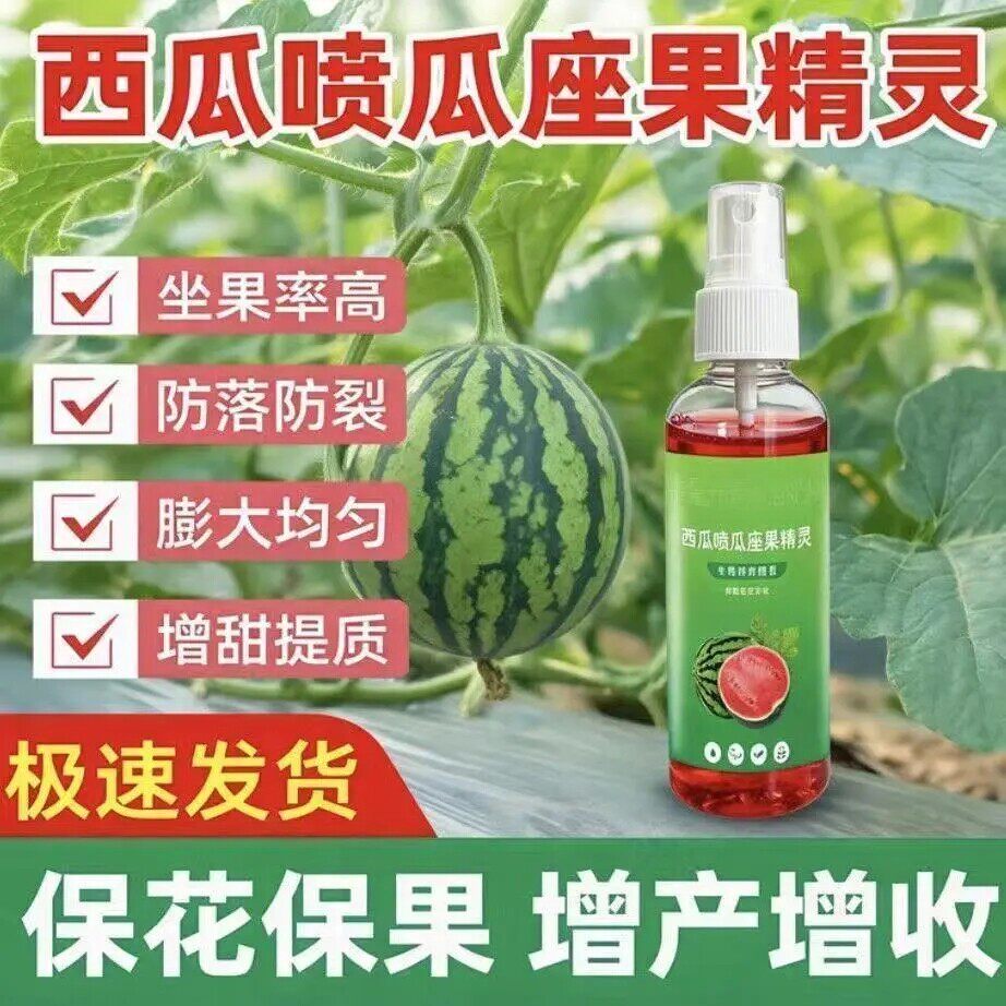 西瓜授粉免沾花保花保果防裂