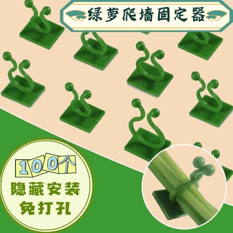 免打孔脱落包赔爬藤夹