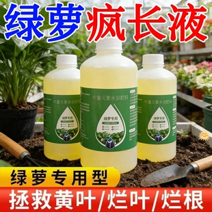 绿萝专用营养液肥料催长叶催生根防黄叶烂根黑斑掉叶家用免稀释肥