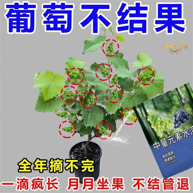 葡萄专用有机微生物肥促生长果肉