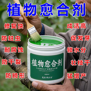 送嫁接膜】植物伤口愈合膏树木快速生长防虫剪枝嫁接通用愈合剂