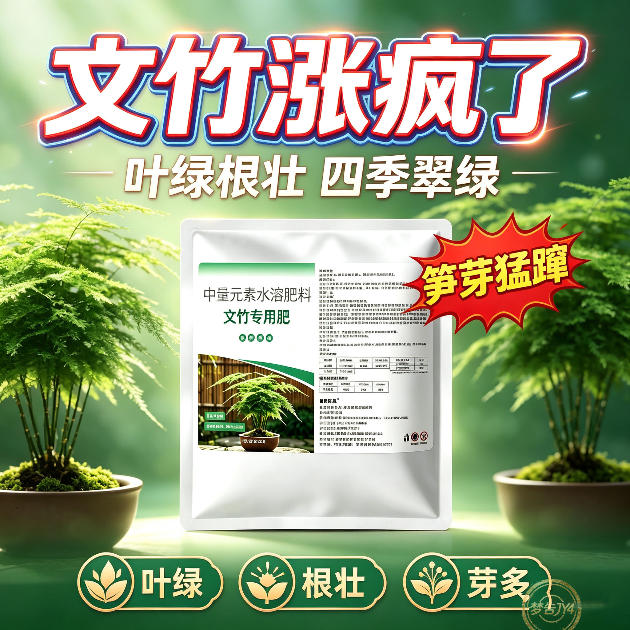 文竹盆栽专用有机颗粒肥黄叶