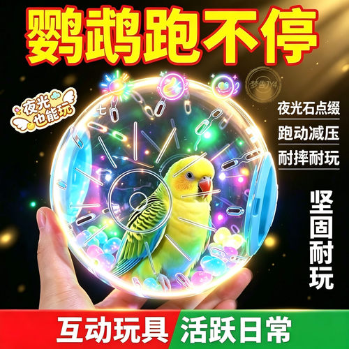 鹦鹉解闷发光跑步球玩具