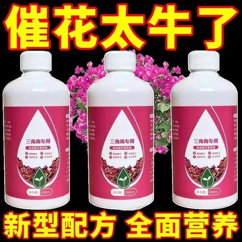 三角梅专用花营养液大瓶