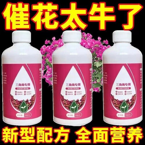 三角梅专用花营养液大瓶