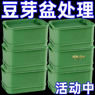 家用阳台种菜黑科技大容量豆芽盒加厚蓄水层快速发豆芽收割神器