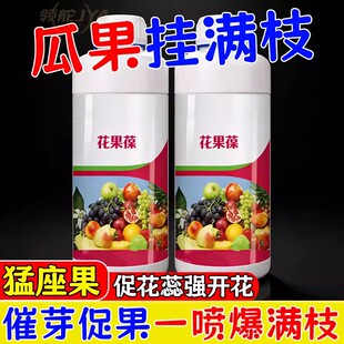 保花保果药防落素叶面肥促花授粉坐果灵果树柑橘番茄桃树芒果李子