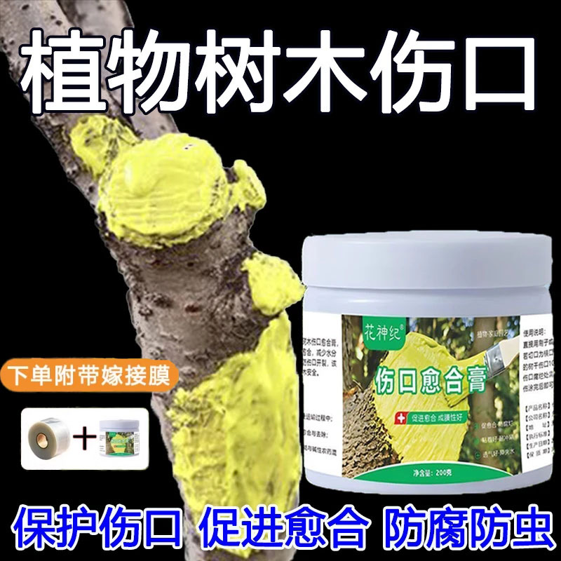 树木伤口愈合膏嫁接送接膜