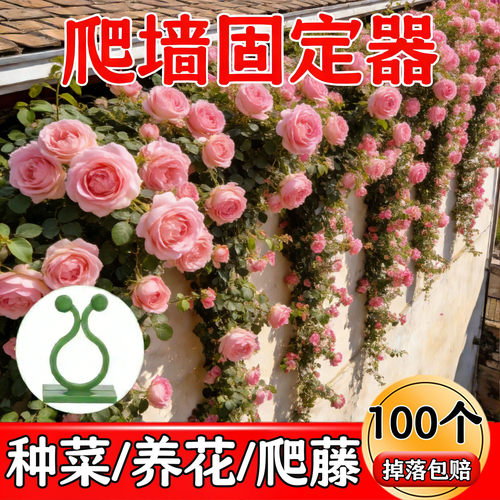 新款高品质绿萝固定器固定花枝条球兰园艺固定夹子多用途耐用型
