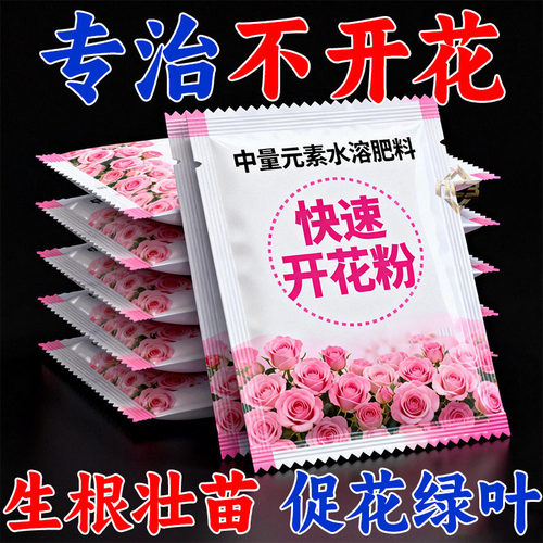 三角梅花粉专治不开花